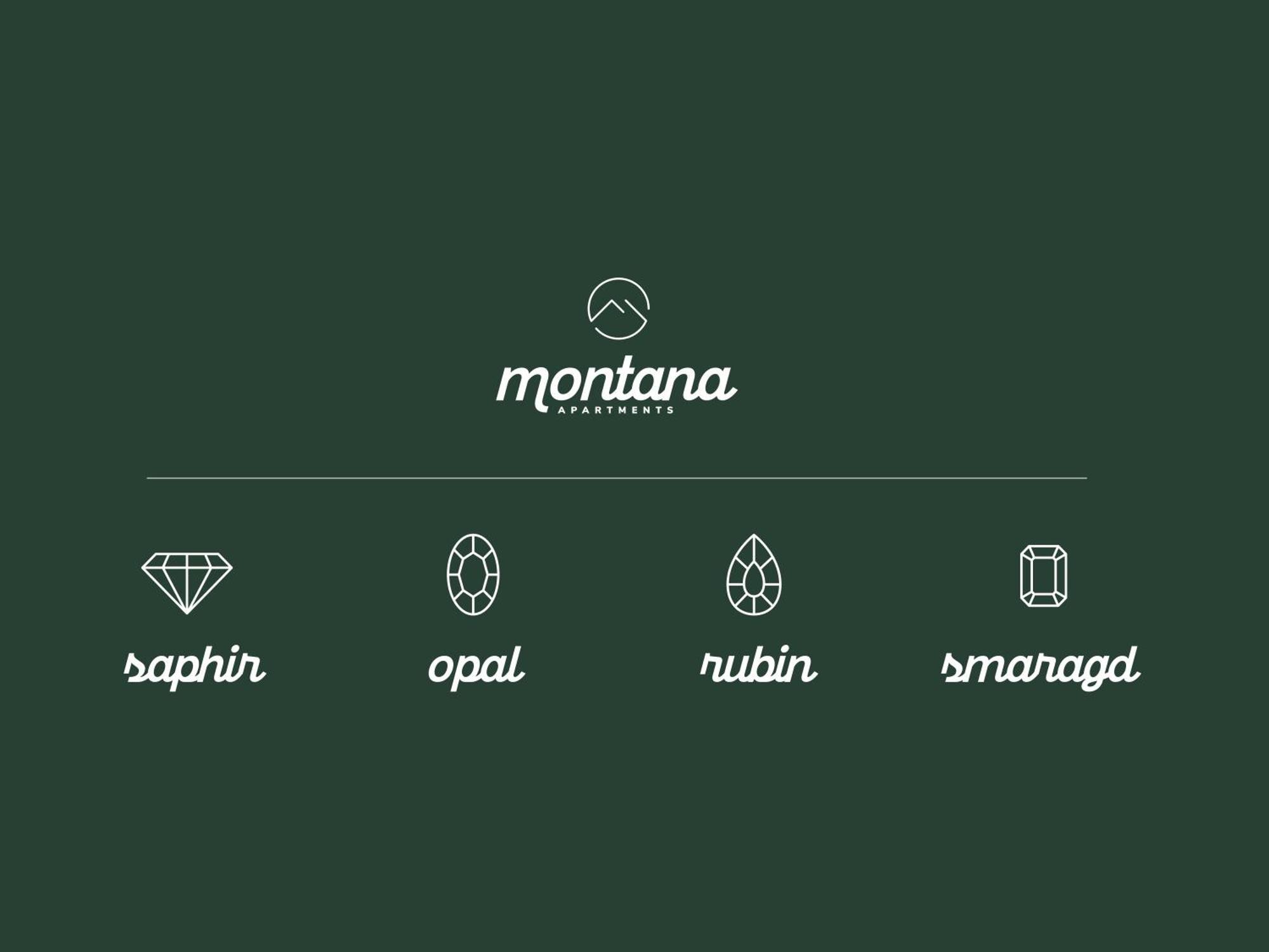 Montana Apartments Майрхофен Экстерьер фото